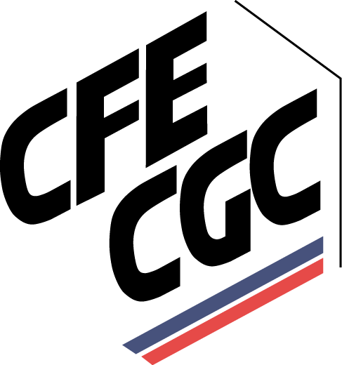 CFE-CGC de CANON FRANCE